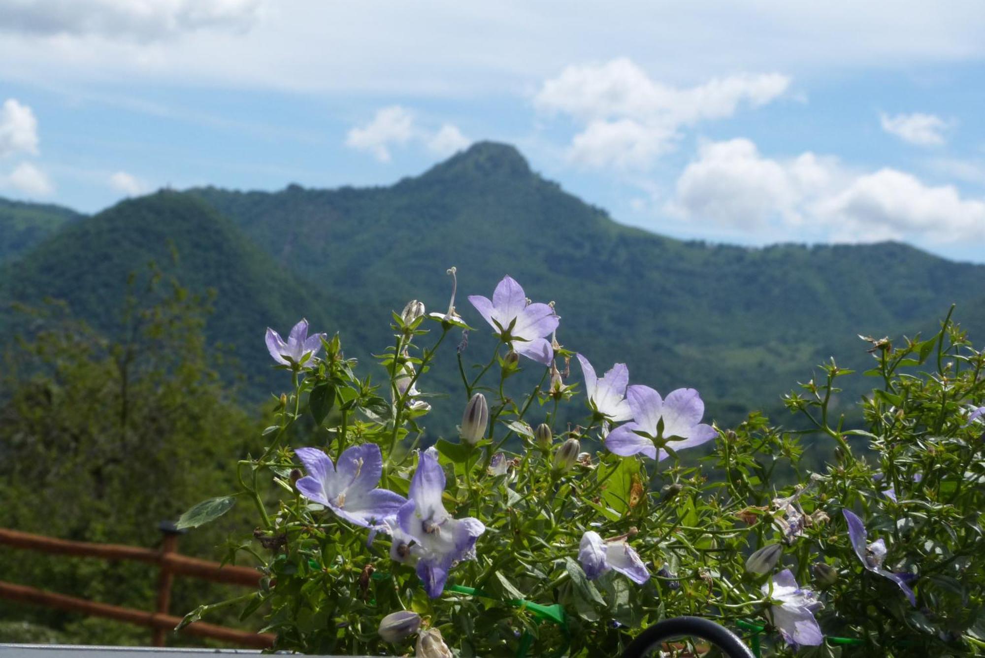 Giardino Tra I Laghi Bed & Breakfast San Fedele Intelvi Luaran gambar